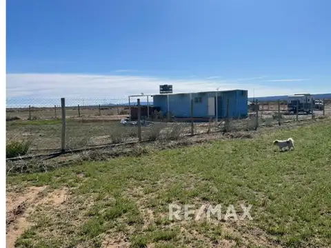 Venta Chacra  en Senillosa – 7 Hectáreas