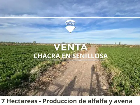 Venta Chacra  en Senillosa – 7 Hectáreas
