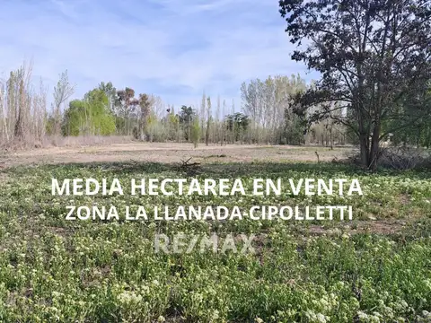 VENTA MEDIA HECTAREA  CIPOLLETTI