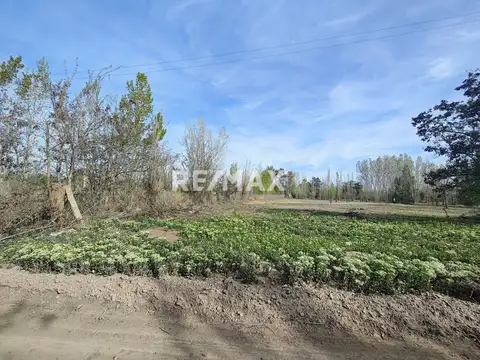 Terreno en Venta en Cipolletti, USD 150.000