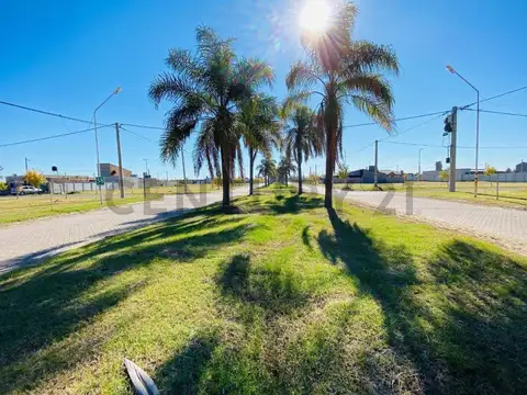 Lote 218 100, Piso 0