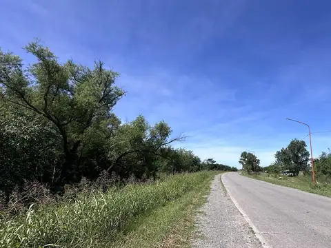 Campo sobre Ruta 306, Leales