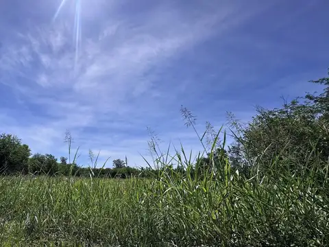 Campo sobre Ruta 306, Leales