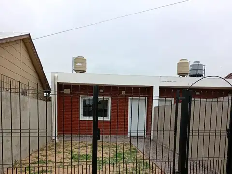 leones bermudences 300