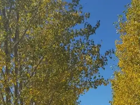 Terreno en Venta en Valle De Uspallata, USD 50.000