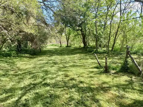 Excelente chacra a mts de la Ruta 210 con estupenda forestación   galpón   vivienda 