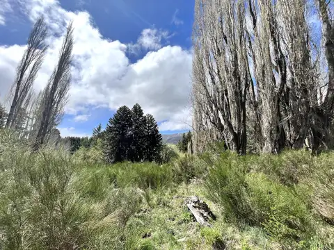 Villa Lago Lolog  - San Martin de los Andes - 14 Hectáreas