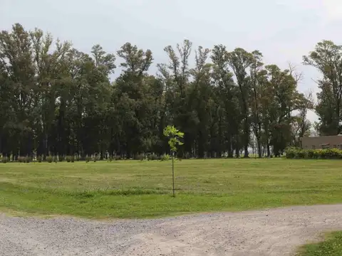 Ruta 6 km. 142, General Rodríguez, Provincia de Buenos 100