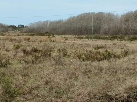 Lote - Venta - Argentina, General Lavalle