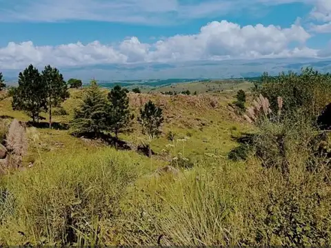 los paraísos esq Belgrano