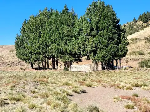 Terreno en Venta en Huechulafquen, USD 65.000