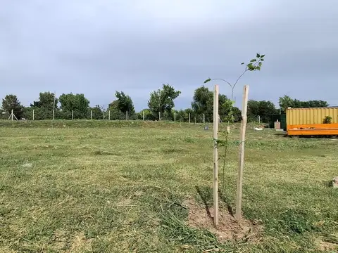 Ideal inversión! Lote 600 m2 San Pablo Chico