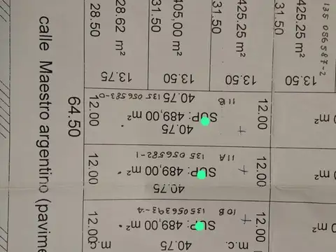 Maestro Argentino 3100