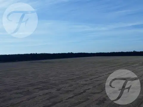 Camino a Vuelta de Obligado