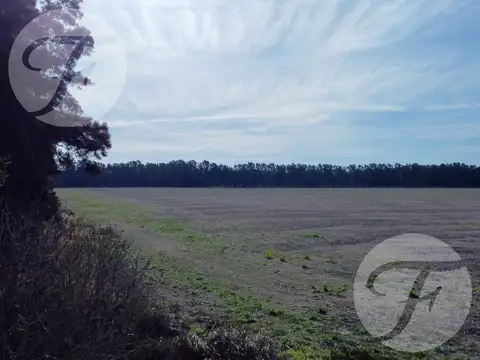 Campo en Venta en San Pedro - 100% agrícola - Excelente ubicación - U$S12.000/Ha