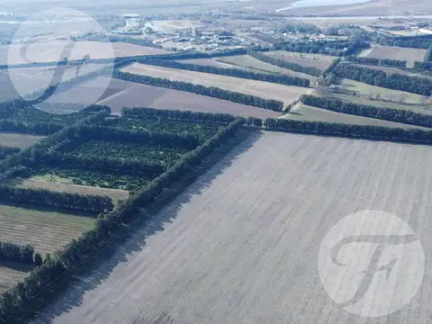 Campo en Venta en San Pedro - 100% agrícola - Excelente ubicación - U$S12.000/Ha
