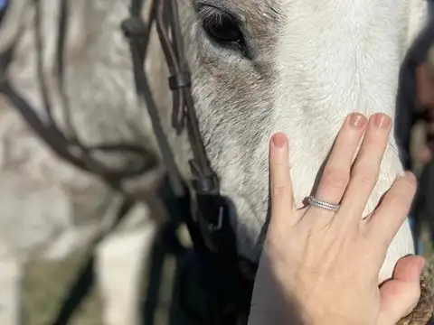 Vendo..Excelente ubicacion Ruta 205 Km 53, 100 y camino del 80. Chacas de la Trinidad Cañuela Bs. As