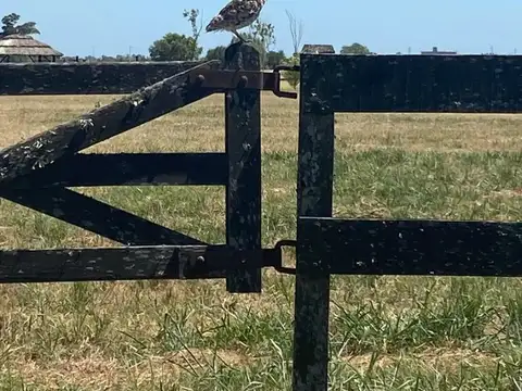 Vendo..Excelente ubicacion Ruta 205 Km 53, 100 y camino del 80. Chacas de la Trinidad Cañuela Bs. As
