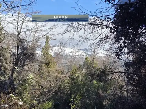 Terreno en Venta de 704000,0 m2