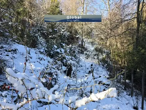 FRACCIÓN DE 7 Has SAN MARTÍN DE LOS ANDES, PATAGONIA ARGENTINA 2000