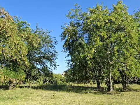 Terreno en Venta 21  mts Frente