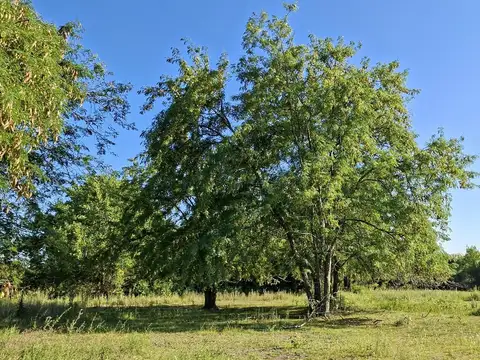 Terreno en Venta 106  mts Fondo
