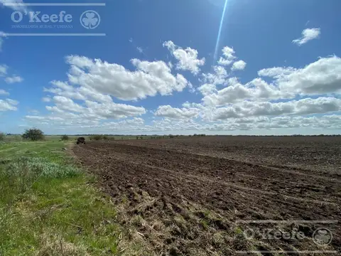 Campo en venta de 344 has en Dolores !!!