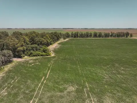 Campo Rural en Zona Núcleo cercano a Rufino
