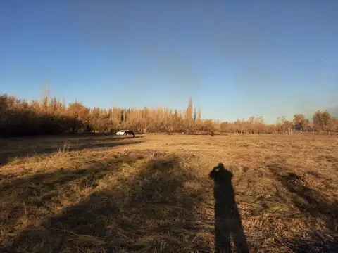 Chacra en Blanco en Venta, General Roca