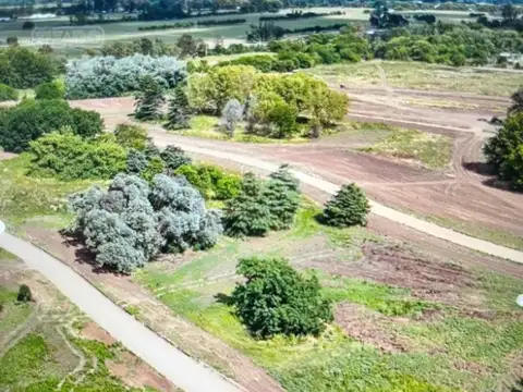 Terreno en Venta de 800,0 m2