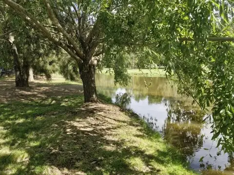 Venta de Lote, Harás del sur II