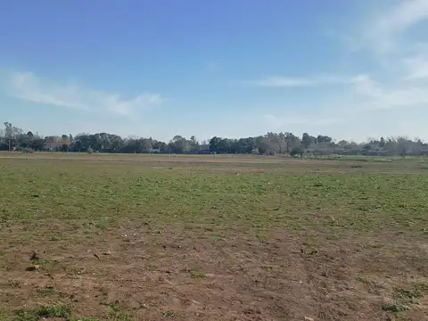 Hilario Ascasubi 300