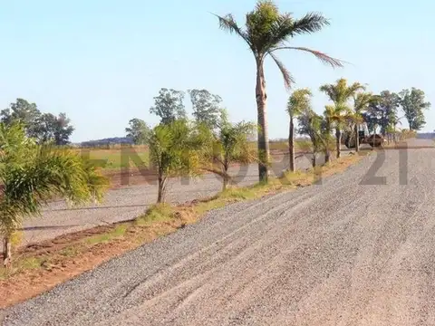 Venta Lote 234 Barrio Estribo – Tres Pinos, General Rodríguez