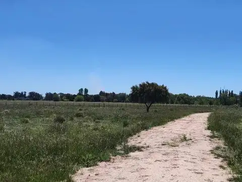 Terreno en Venta de 30000,0 m2