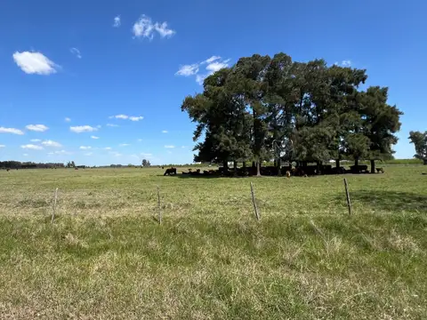 100 Has. Campo en Las Heras