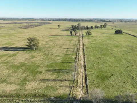 100 Has. Campo en Las Heras