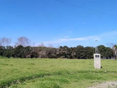 Terreno en Venta 20  mts Frente