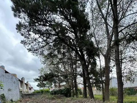 SANTIAGO DEL ESTERO 2500