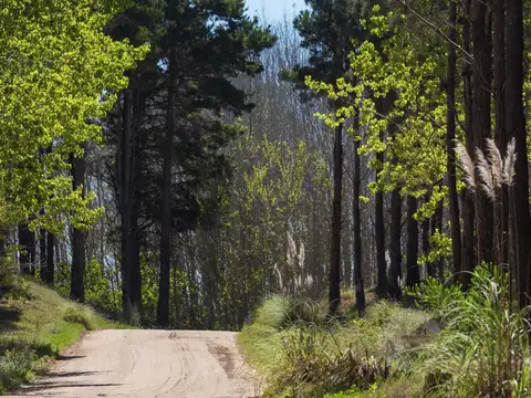 Terreno Multifamiliar Apart Hotel, PH