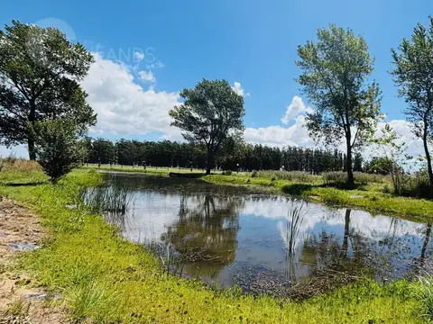 Terreno en Venta en Countries Y Barrios Cerrados en Pinamar, USD 539.355