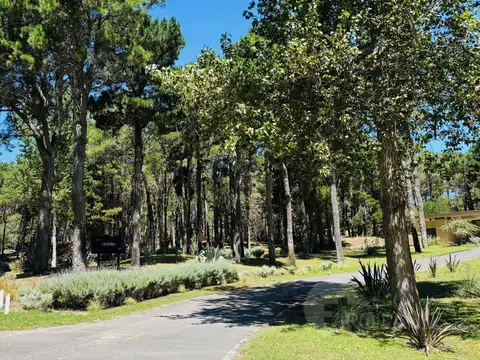 Terreno en Venta 50  mts Frente