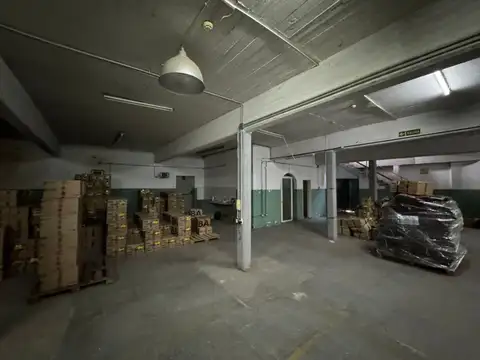 Concejal Tribulato 1600