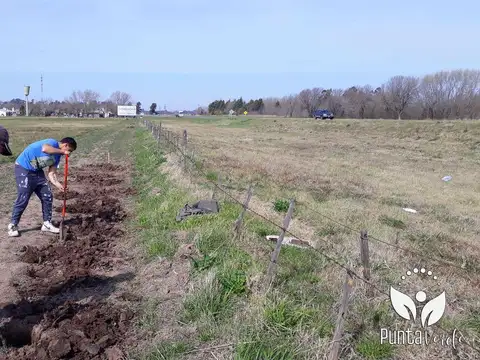 Terreno en Venta de 400,0 m2