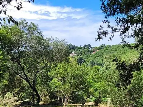 Terreno en Venta de 1236,0 m2