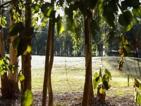 Terreno en Venta de 1138,0 m2