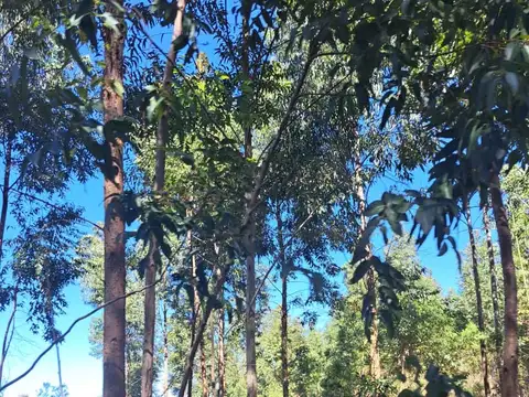 Campo en Venta de 56  ha