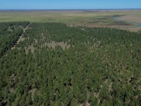 Campo en venta en Colonia Pando