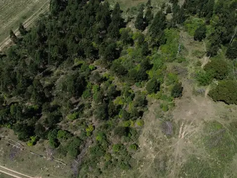 Campo en Venta de 56  ha