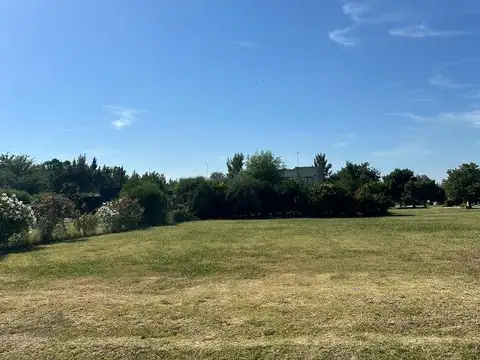 Terreno en Venta de 800,0 m2