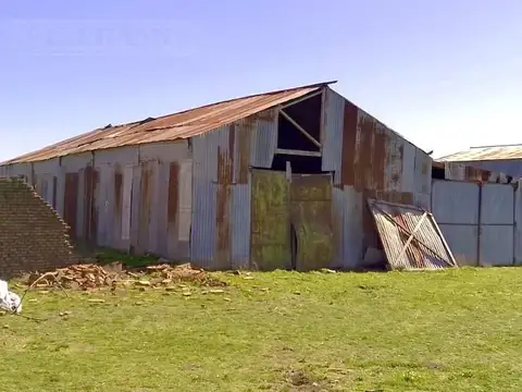 889 ha Campo ganadero. San Germán, Puán, Bs. As.
